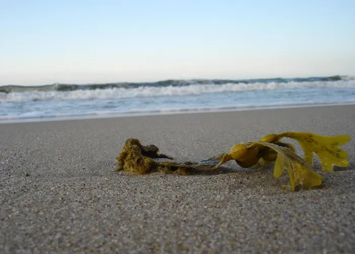 Platinium Spectrum *